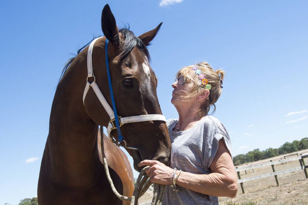 SPECIAL BOND: Debbie Wills and Special Feeling, who has been retired from racing. Picture: DARREN HOWE