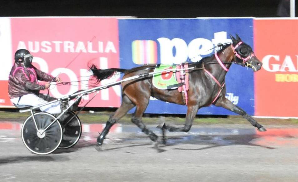 Brett Shipway guides Di Li to a sentimental win in the Vale Colin Redwood Trot at Lord's Raceway last April. Picture: CLAIRE WESTON PHOTOGRAPHY