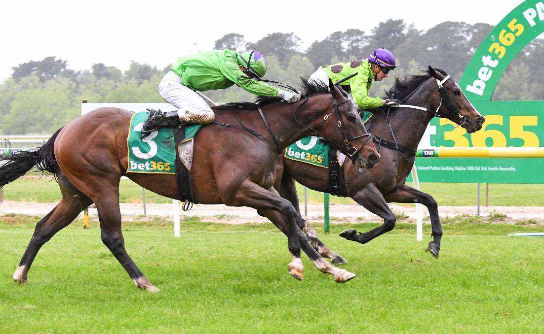 The Brian and Ashley McKnight-trained Logo Logic, ridden by Christine Puls, wins the benchmark 58 handicap at Kyneton last Friday. Picture: PAT SCALA/RACING PHOTOS