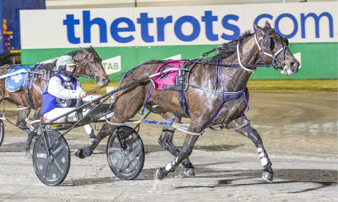 STABLE ON A ROLL: Ellen Tormey steers Vandanta to victory for Strathfieldsaye trainer Julie Douglas at Tabcorp Park Melton on Saturday night. Picture: STUART MCCORMICK