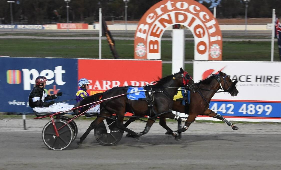 Busters Grin, driven by Alex Ashwood, hangs on for an overdue win ove Joey's hangover (Tayla French) at Lord's Raceway on Tuesday night. Picture: CLAIRE WESTON PHOTOGRAPHY
