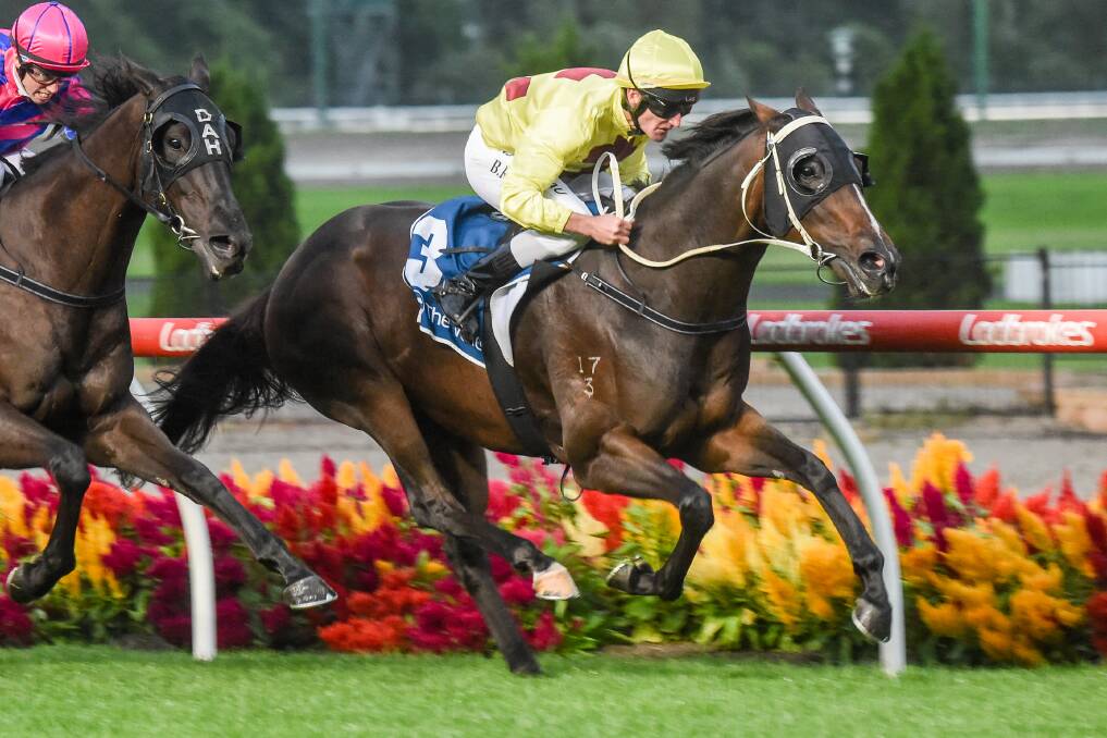 Vungers, ridden by Brad Rawiller, wins the 4 Pines Brewing Co Handicap at Moonee Valley Racecourse on March 13. Picture: BRETT HOLBURT/RACING PHOTOS
