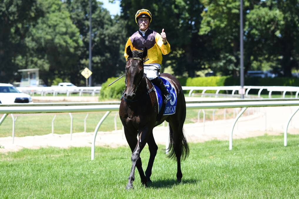 Kaniva, ridden by Patrick Moloney, returns to the mounting yard after winning at Kyneton on Tuesday. Picture: PAT SCALA/RACING PHOTOS