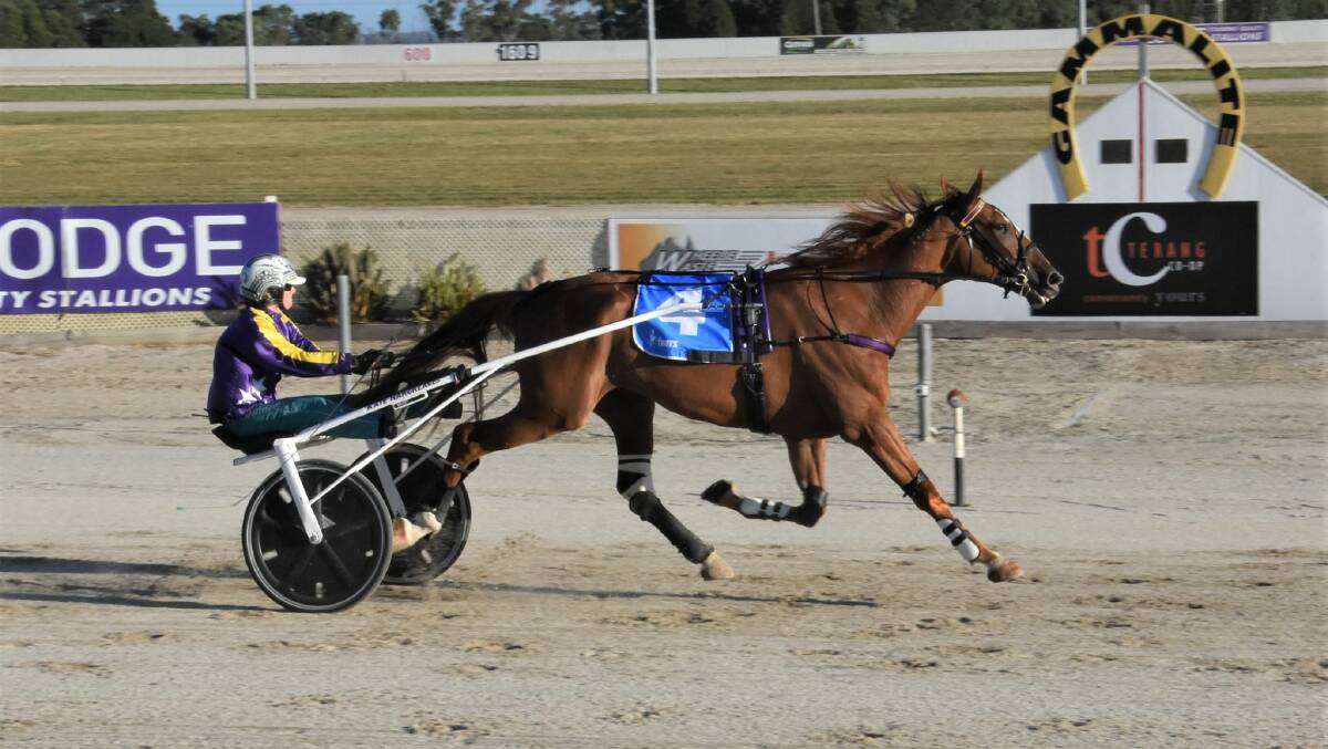 Dont Care and Ellen Tormey cruise to a win in the Neville and Patsy Clarke Memorial Trot at Terang on Saturday night. Picture: CLAIRE WESTON PHOTOGRAPHY