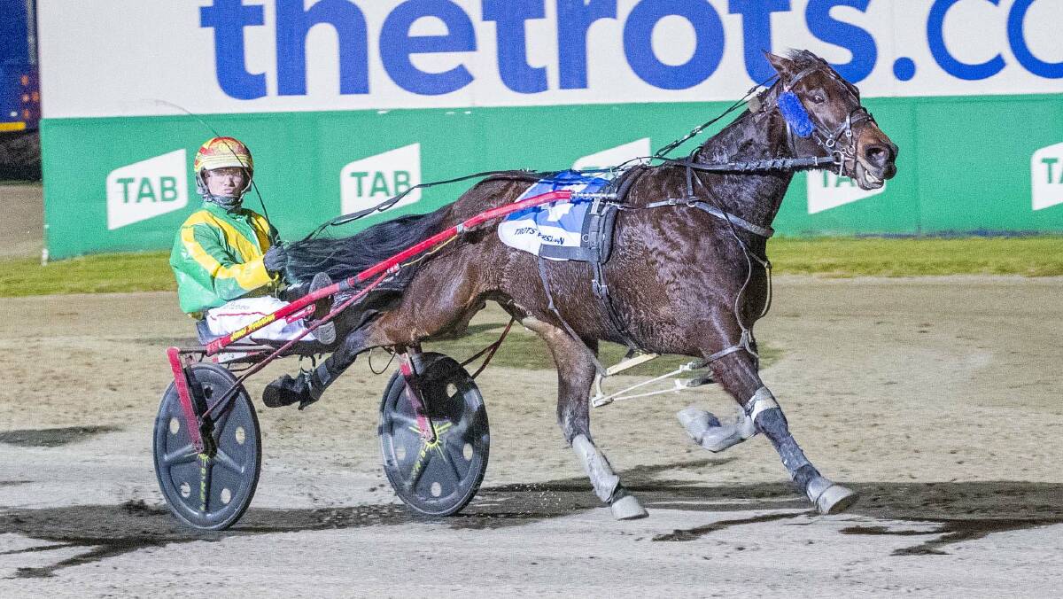 James Herbertson steers Nephew Of Sonoko to victory in the Group 3 Noopy Kiosk Free For All at Melton last Saturday night. Picture: STUART McCORMICK