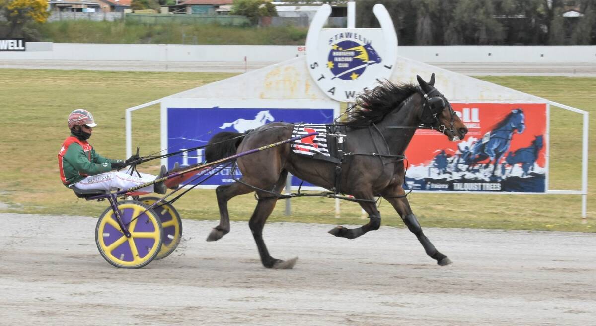 BREEDERS CROWN HOPE: The Greg Norman-trained Belladonna Girl salutes at Stawell last month. Picture: CLAIRE WESTON PHOTOGRAPHY