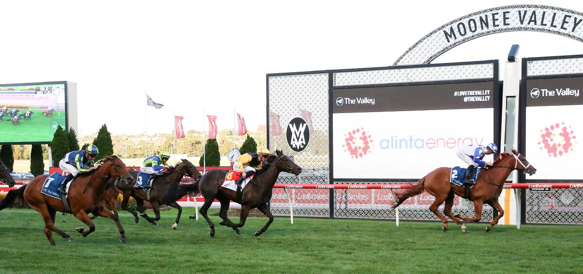 Kaniva, ridden by Patrick Moloney, chases Aquagirl (lachlan King) home at Moonee Valley on Friday night. Picture: GEORGE SALPIGTIDIS/RACING PHOTOS 