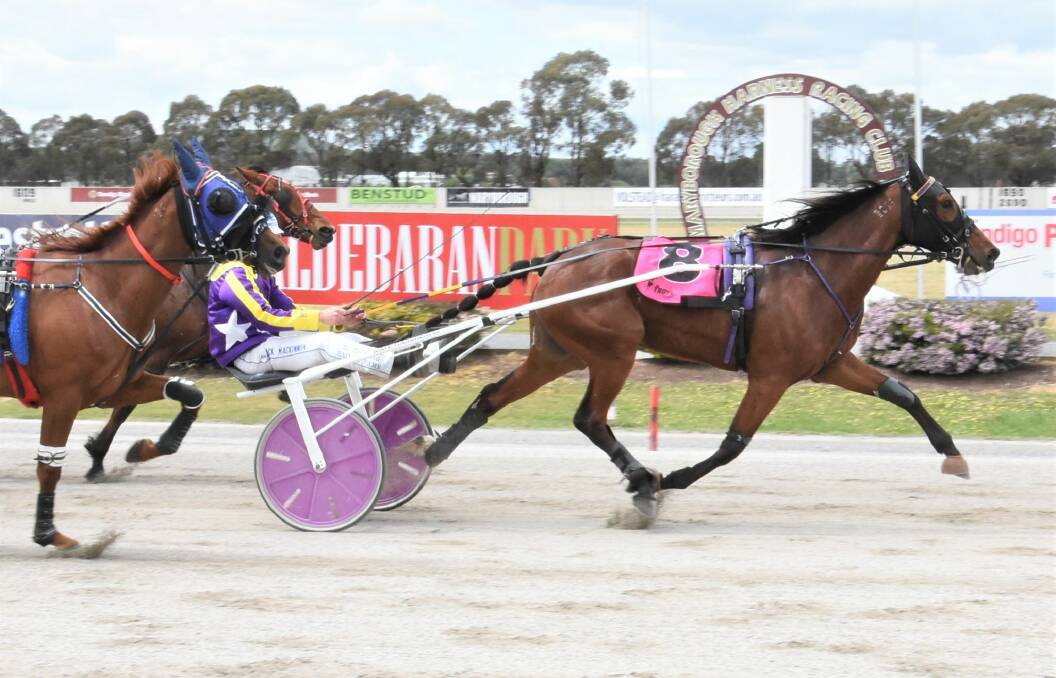 ON THE BOARD: Jack MacKinnon steers the Kate Hargreaves-trained Unspoken Love to a maiden win at Maryborough. Picture: CLAIRE WESTON PHOTOGRAPHY