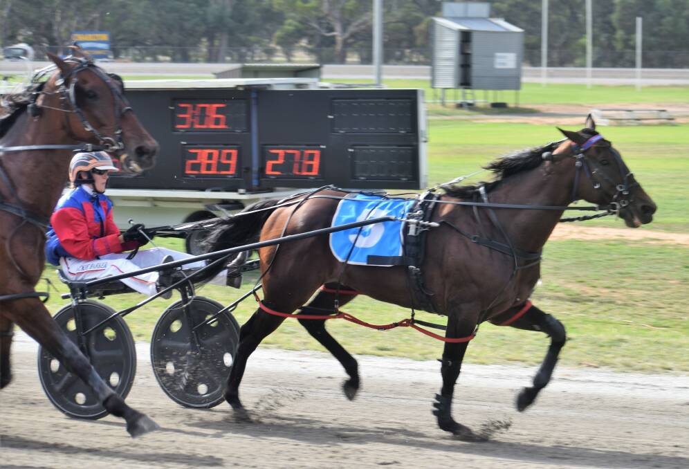 THRILL: Jackie Barker scores an exciting Group 3 Charlton Pacing Cup win on Demon Delight. Picture: KIERAN ILES
