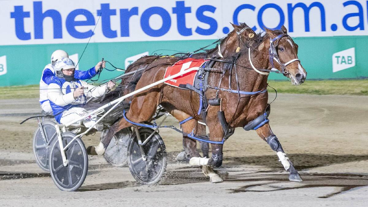 Glenn Douglas brings up a winning double for the stable with a victory aboard Junior Feelgood at Tabcorp Park Melton on Friday night. Picture: STUART McCORMICK