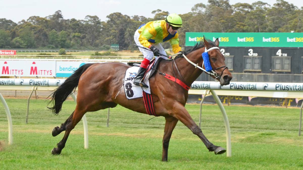 IN WITH A SHOT: The Danny Curran-trained Welcome Stryker has booked his spot in the final of the Melbourne Cup Country Series, to be run on VRC Oaks day. 