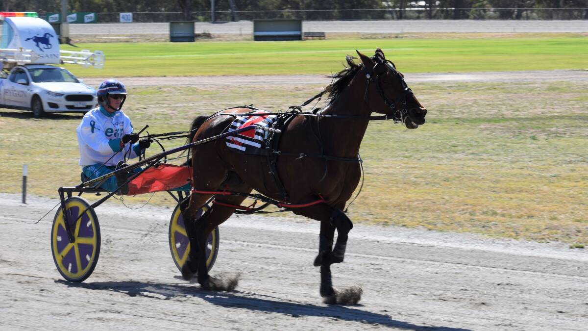 Champion driver Kerryn Manning steers Cee Cee In America to victory on Charlton Cup day for trainer Greg Norman. Picture: KIERAN ILES