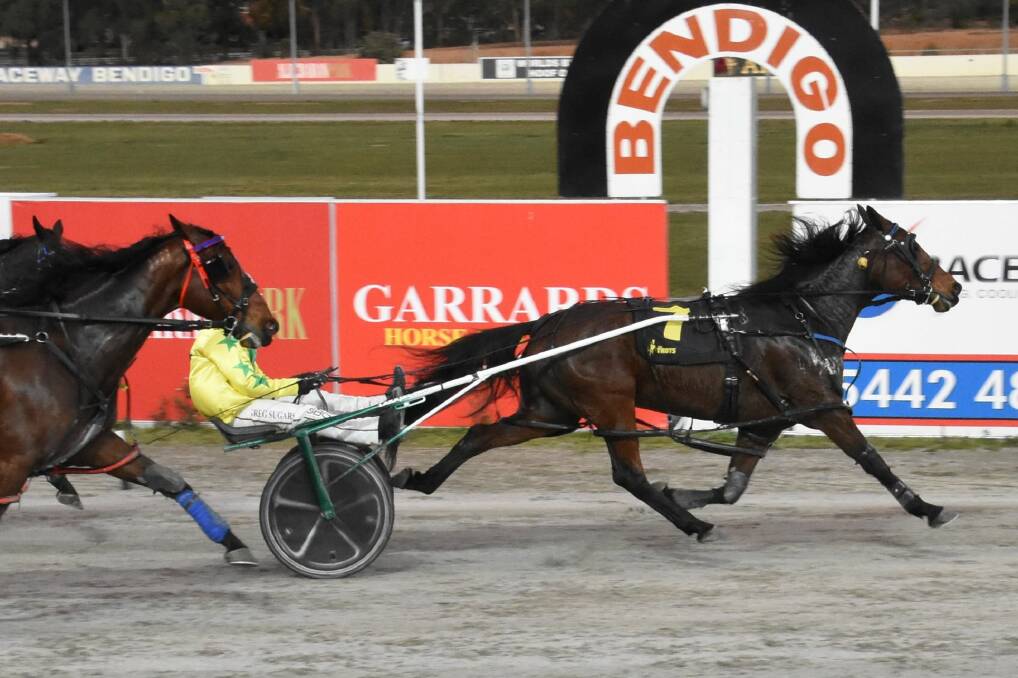 SUCCESS: Shady Hanover wins at Lord's Raceway on Thursday night. Picture: CLAIRE WESTON PHOTOGRAPHY