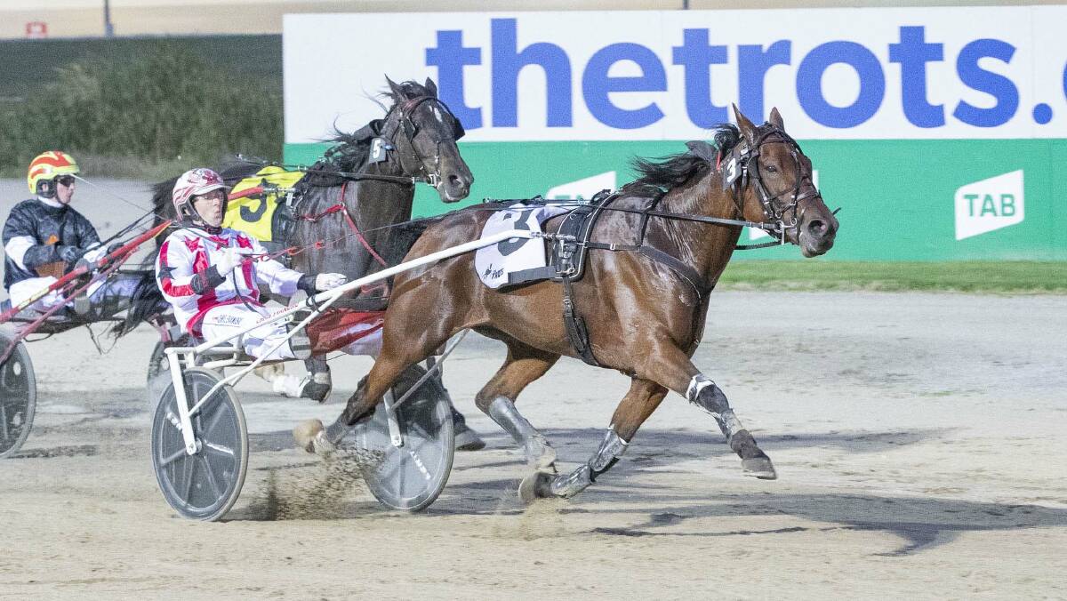 Anywhere Hugo, with Chris Svanosio in the sulky, sprints to victory at Tabcorp Park Melton. Picture: STUART McCORMICK