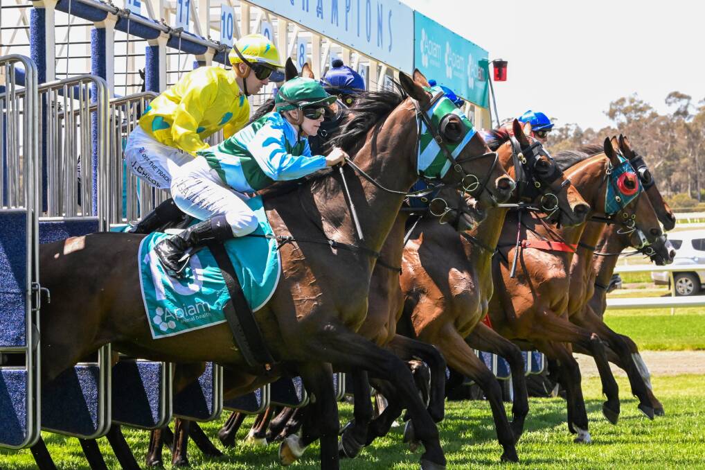 New Bendigo Jockey Club CEO Paul Scullie is looking forward to growing Bendigo's biggest race days, headlined by the Bendigo Cup and Golden Mile. Picture by Darren Howe