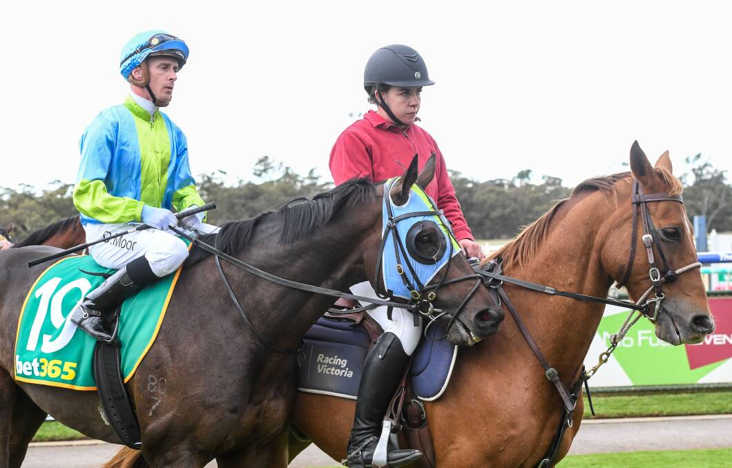 Daniel Moor returns to the mounting yard on the victorious El Salto on Saturday. Picture by Brett Holburt/Racing Photos