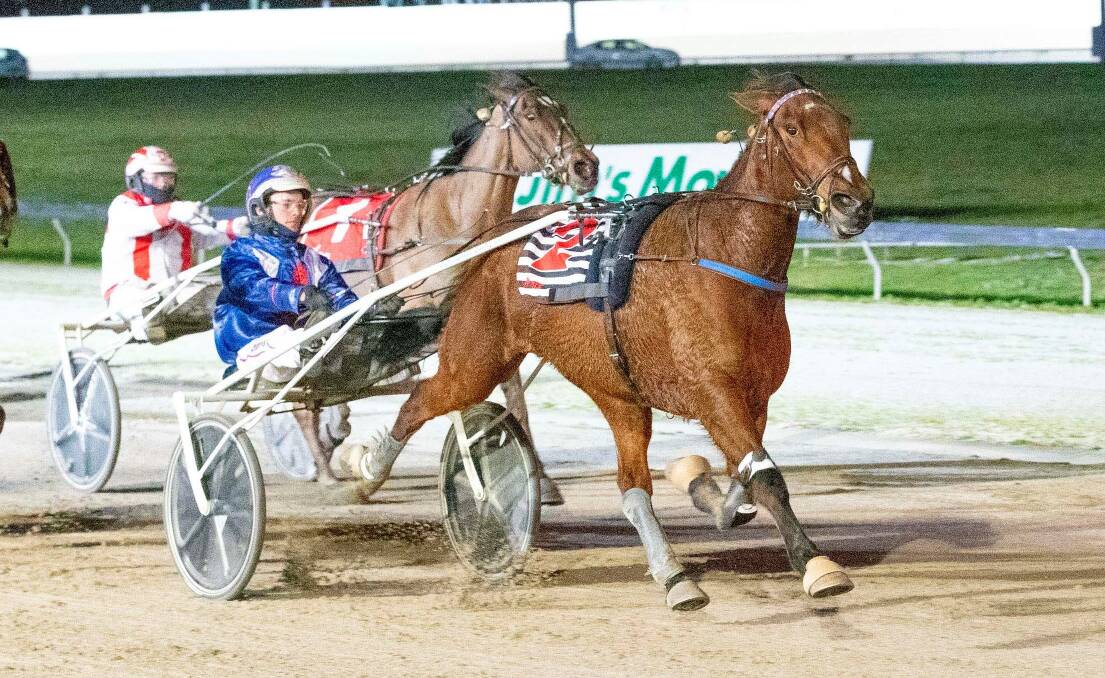 Charlton's Ryan Sanderson steers Chissy to victory at Geelong last Saturday night. Picture: STUART McCORMICK