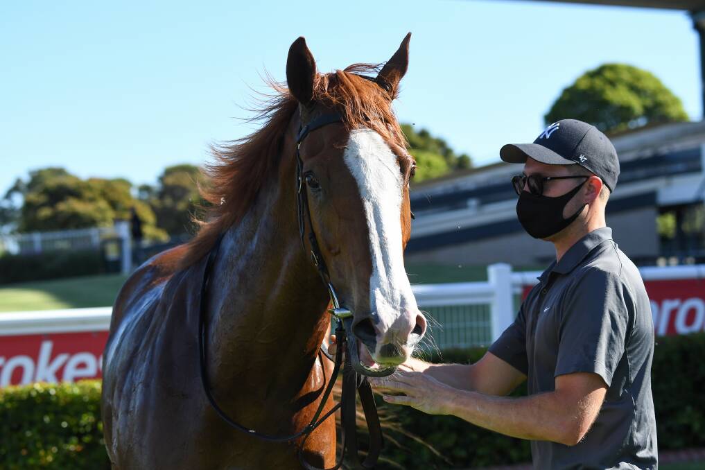 EXCITEMENT: Just Folk and Josh Julius following a win at Sandown last November. Picture: RACING PHOTOS