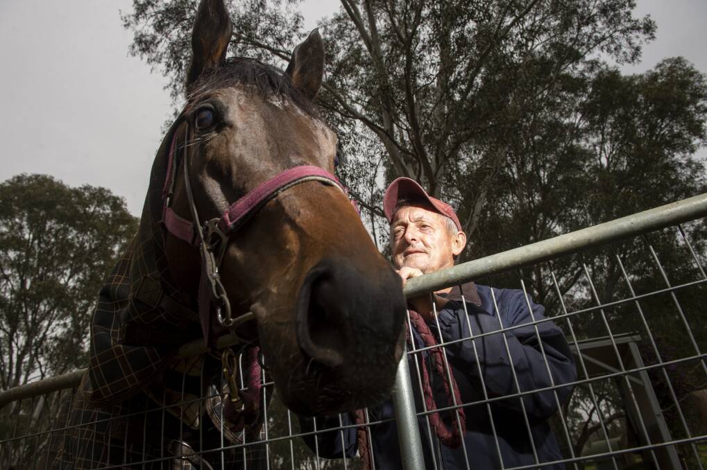 Bendigo trainer Bob Donat with Tatunka, who will be one of three runners for his stable on Bendigo Cup day. Picture: DARREN HOWE