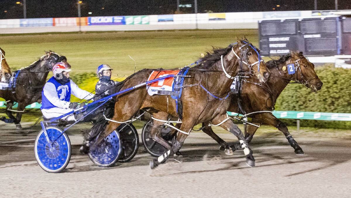 Abby Sanderson steers Ozzie Playboy to victory at Cranbourne last Saturday night, giving her metro wins on consecutive weekends. Picture: STUART McCORMICK