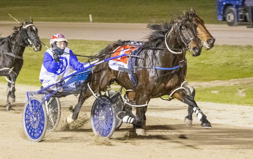 Charlton's Abby Sanderson notches up her first metropolitan win aboard Mighty Flying Art at Shepparton on July 2. Picture: STUART McCORMICK