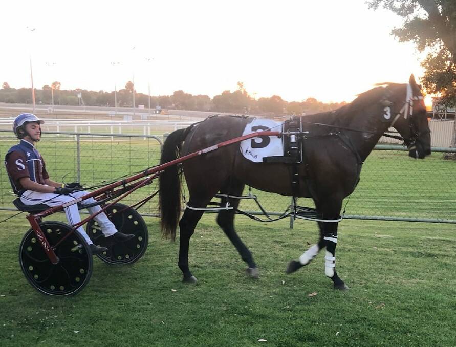 FLYING START: The father-son combination of trainer Shane and driver Ryan Sanderson enjoyed success with Sea Hawke (pictured) and Leigha Miller at Swan Hill last Tuesday.