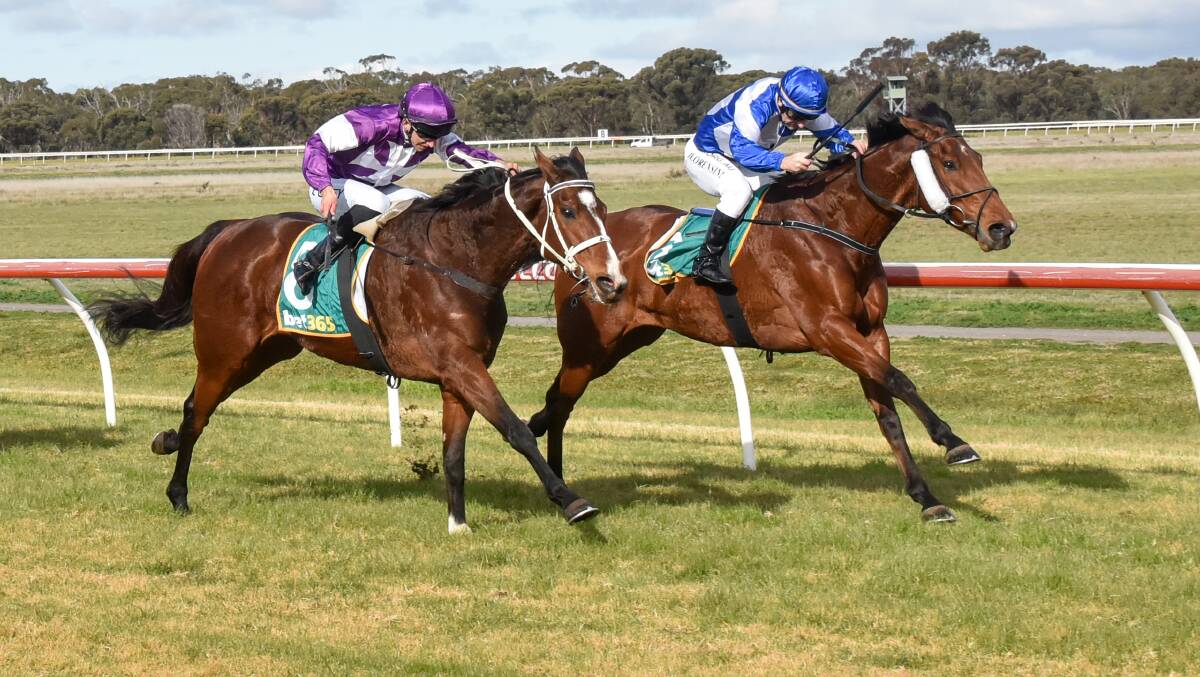 Go Ballistic, with Jarrod Lorensini in the saddle, staves off Rewarding Ruby to win at Donald last Saturday. Picture: RACING PHOTOS