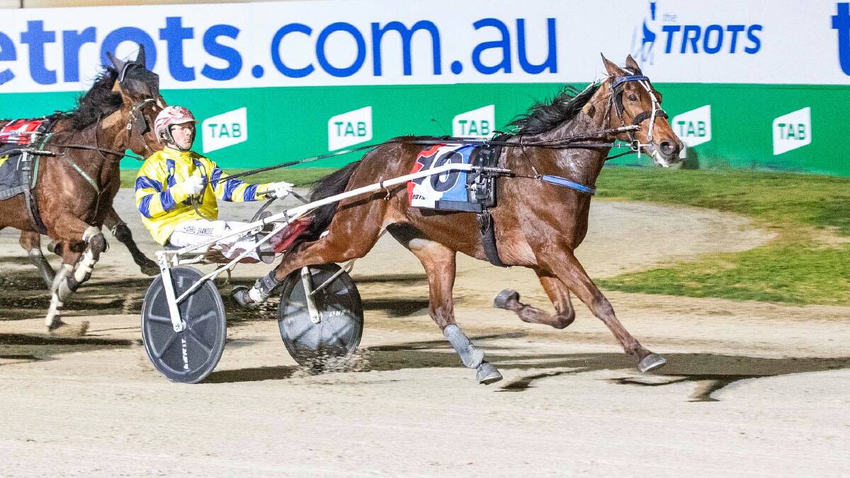 Chris Svanosio steers Tough Monarch to a win in the Group 3 TAB Coulter Crown at Tabcorp Park Melton on Saturday night. Picture: STUART McCORMICK