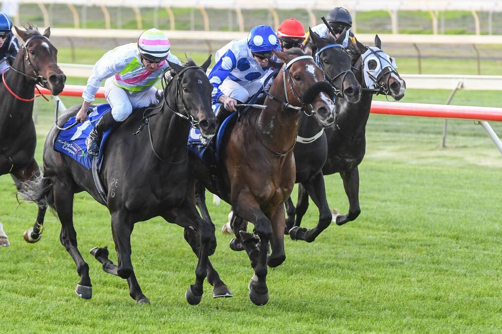 Zorro's Dream, ridden by Jye McNeil (in royal blue and white), wins the benchmark 70 handicap at Bendigo racecourse on Wednesday. Picture: BRETT HOLBURT/RACING PHOTOS