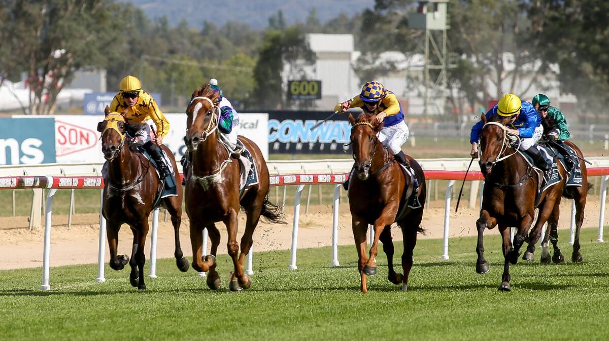 Mount Horeb (second from left), with Blaike McDougall in the saddle, sprints to victory in the $73,500 Barlens City Handicap at Albury on Thursday. Picture: TARA TREWHELLA/BORDER MAIL