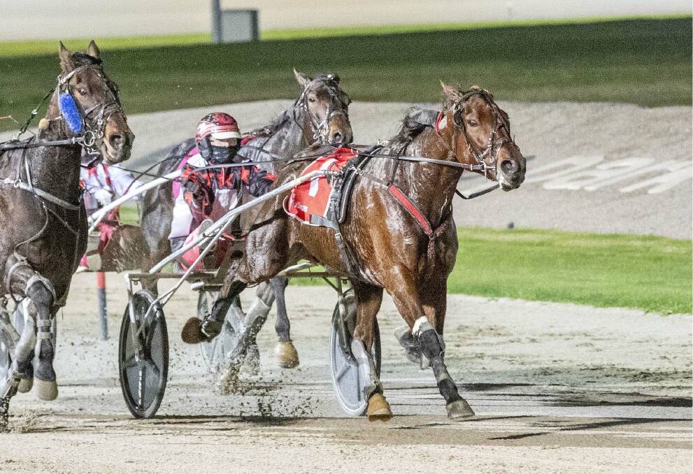 Tayla French wins aboard Anywhere Hugo at Tabcorp Park Melton last Saturday night. Picture: STUART McCORMICK