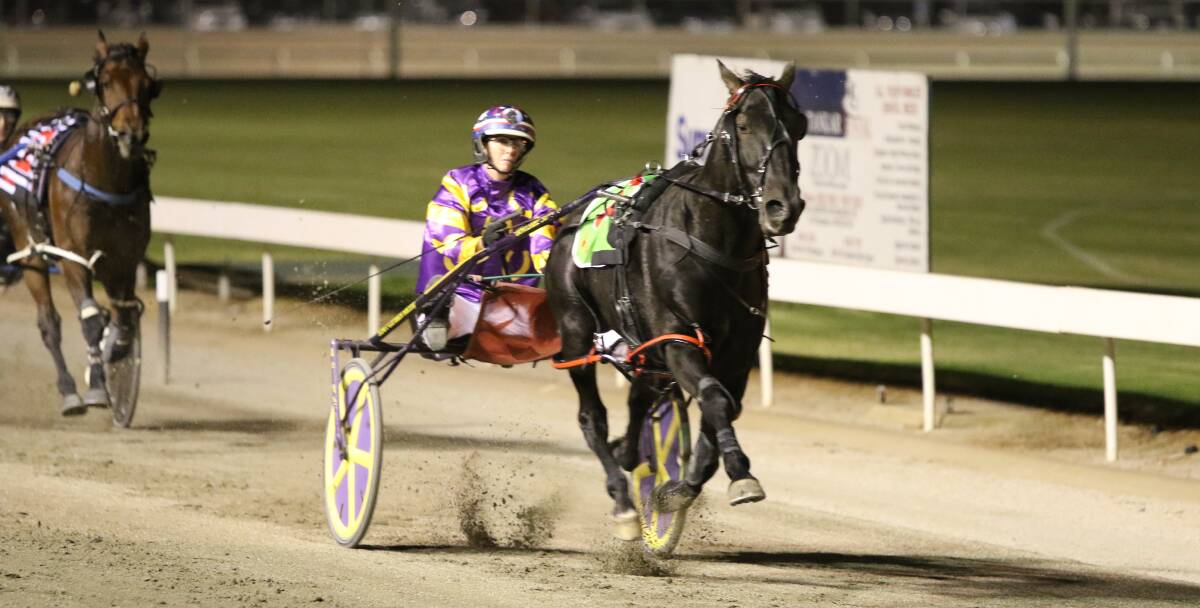 RISING STAR: The Greg Norman-trained Aladdin, driven by Kerryn Manning, charges to victory in the $14,000 Mildura Guineas last Saturday night at the City Oval Paceway. Picture: CHARLI MASOTTI PHOTOGRAPHY