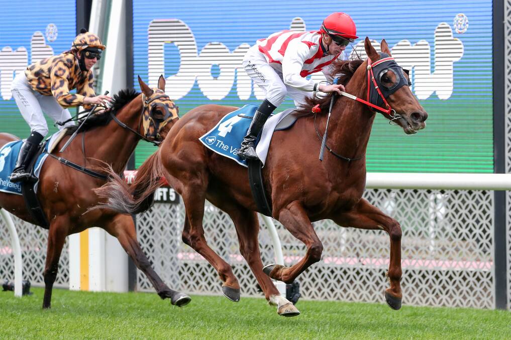 Hi Stranger, ridden by Damien Thornton, wins the Brompton Handicap at Moonee Valley on July 31 this year. The now five-year-old gelding is the newly crowned Bendigo horse of the year for 2020-21. Picture" GEORGE SALPIGTIDIS/RACING PHOTOS
