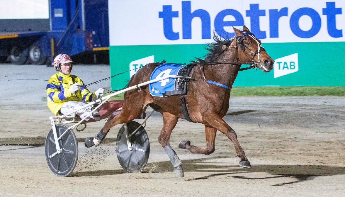 Chris Svanosio scores his second straight-win in the Maori's Idol Trotters Free For All, this time aboard Tough Monarch at Tabcorp Park Melton on Saturday night. The eight-year-old gelding is now bound for New Zealand.Picture: STUART McCORMICK