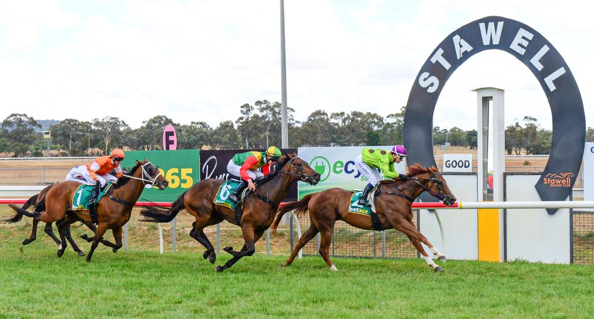 The Brian and Ashley McKnight-trained Savoie, ridden by Sheridan Clarke, wins the benchmark 58 handicap at Stawell last Friday. Picture: BRENDAN McCARTHY/RACING PHOTOS