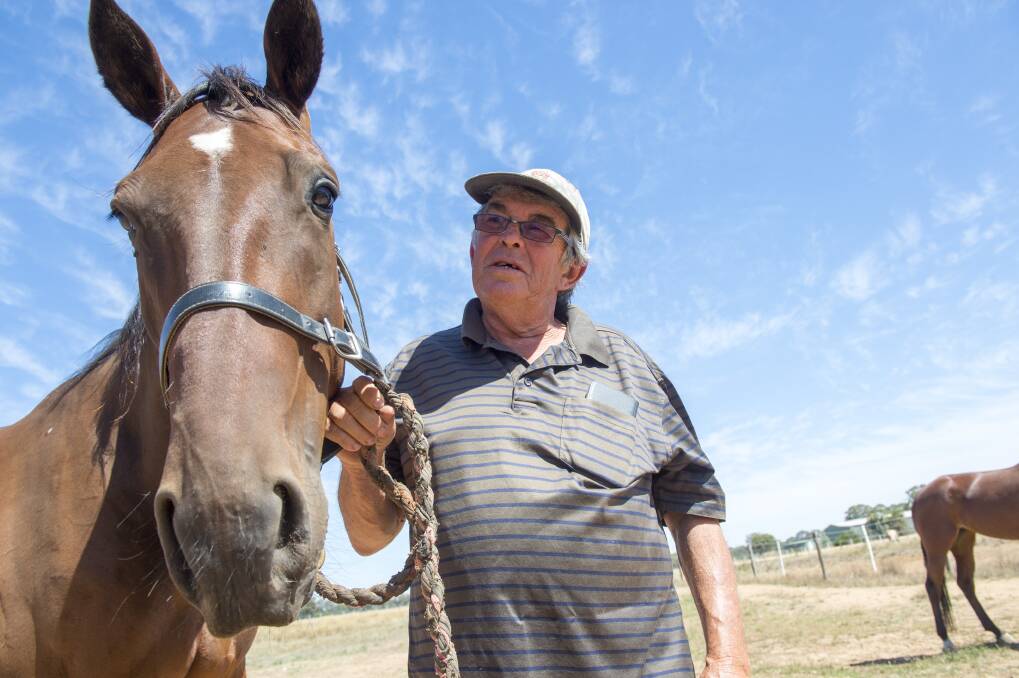 Marong trainer Danny Curran with Sunrose Master. Picture: DARREN HOWE