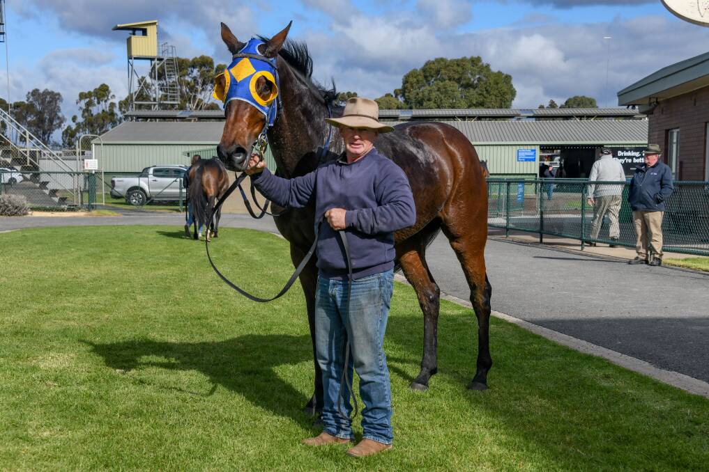 The victorious Cooter Cha Cha at Horsham. Picture: RACING PHOTOS