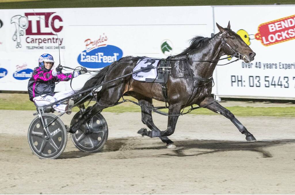 Jodi Quinlan steers Act Now to an impressive victory in the Group 1 Victoria Derby on Saturday night. Picture: STUART McCORMICK