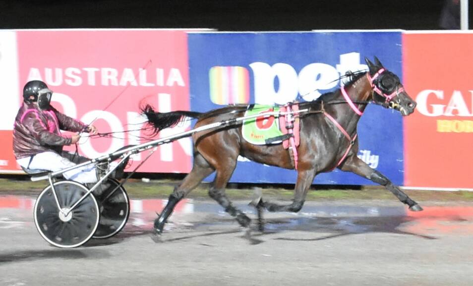 Di Li, driven by her trainer Brett Shipway, returned to the winner's list on Friday night for the first time since November. File picture: CLAIRE WESTON PHOTOGRAPHY