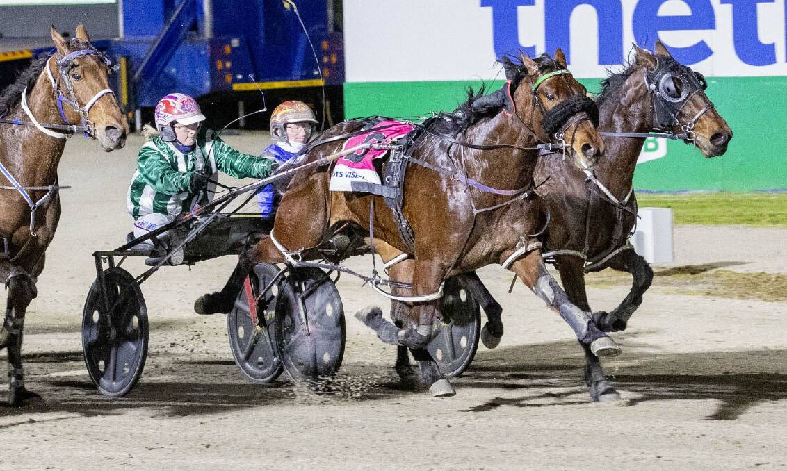 Catalpa Rescue and driver Abby Sanderson have plenty to look forward to in coming weeks following a brilliant second-up win at Ballarat on Saturday night. File picture by Stuart McCormick