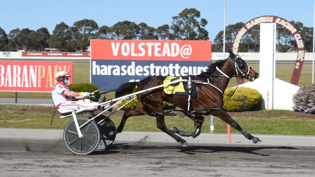 Boxofchocolates, driven by Chris Alford, makes it four-straight wins at Maryborough on Monday. Picture: CLAIRE WESTON PHOTOGRAPHY