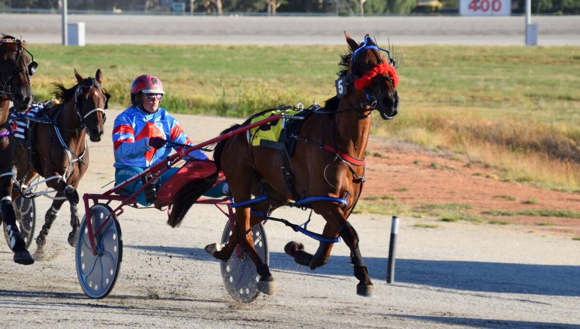Denbeigh Wade steers Balmy Bob to victory in the Battlers of the Bush Maiden Pace at Swan Hill on Thursday night. The six-year-old pacer is owned by Pyramid Hill's John Kennedy. Picture: SWAN HILL TROTTING CLUB