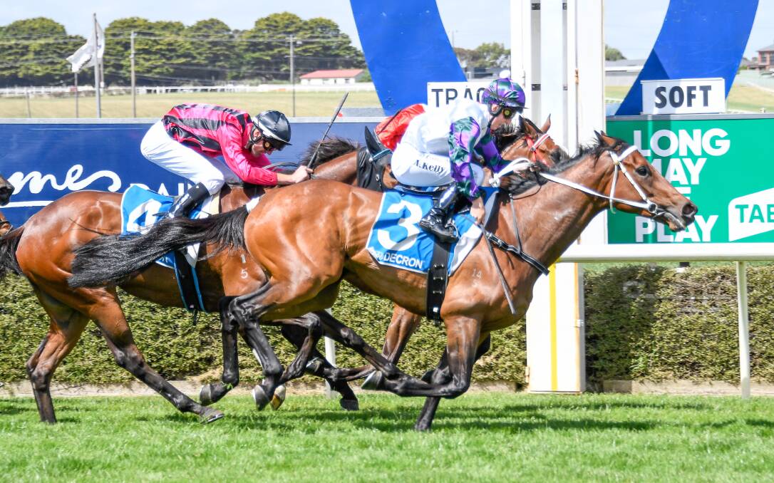 Uptown Lola edges out Tea Tales (inside) and Damascus Moment to win the benchmark 70 fillies and mares handicap at Warrnambool on Sunday. Picture: REG RYAN/RACING PHOTOS