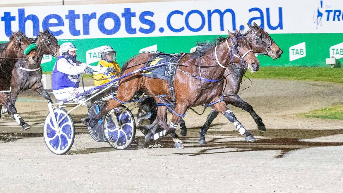 Glenn Douglas makes it a double with Shorty's mate in the Melton Toyota Pace (Nr 80 to 89) on Saturday night. Picture: STUART McCORMICK