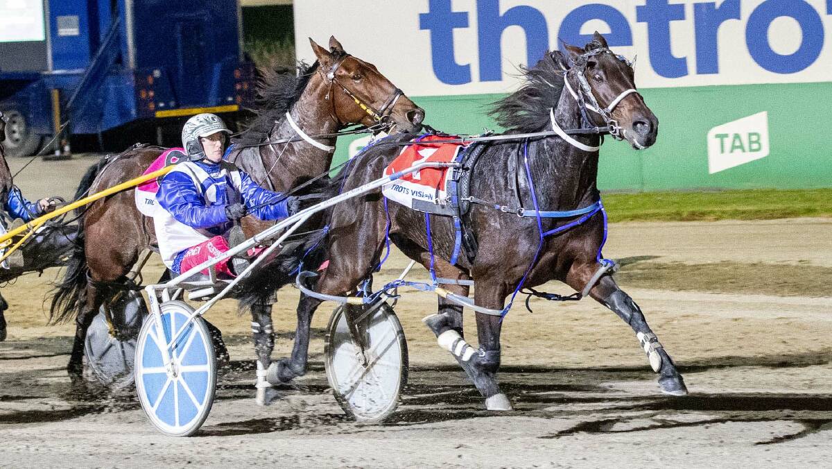 Ellen Tormey steers Khaki Nui to a free for all win at Tabcorp Park Melton on Saturday night. Picture: STUART McCORMICK