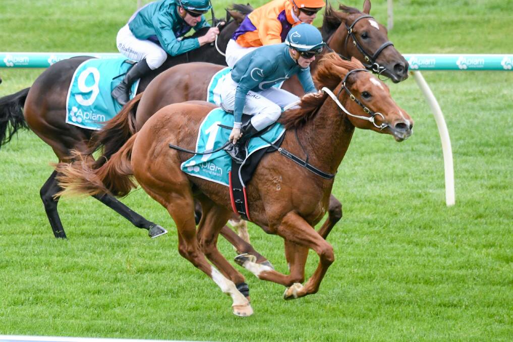 All About Eve, ridden by Will Price, wins the Catanach's Jewellers 2YO Fillies Maiden Plate at Bendigo on Sunday. Picture: BRETT HOLBURT/RACING PHOTOS