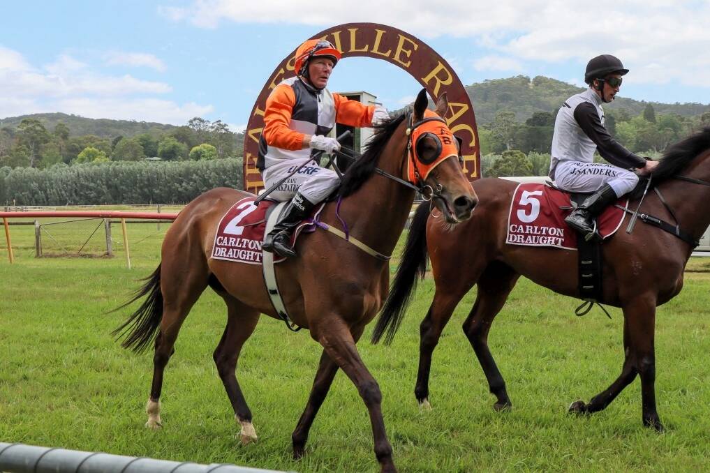 Craig Kirkpatrick made it back-to-back wins aboard McGill at Healesville on Saturday. Picture courtesy of PicnicBet.com
