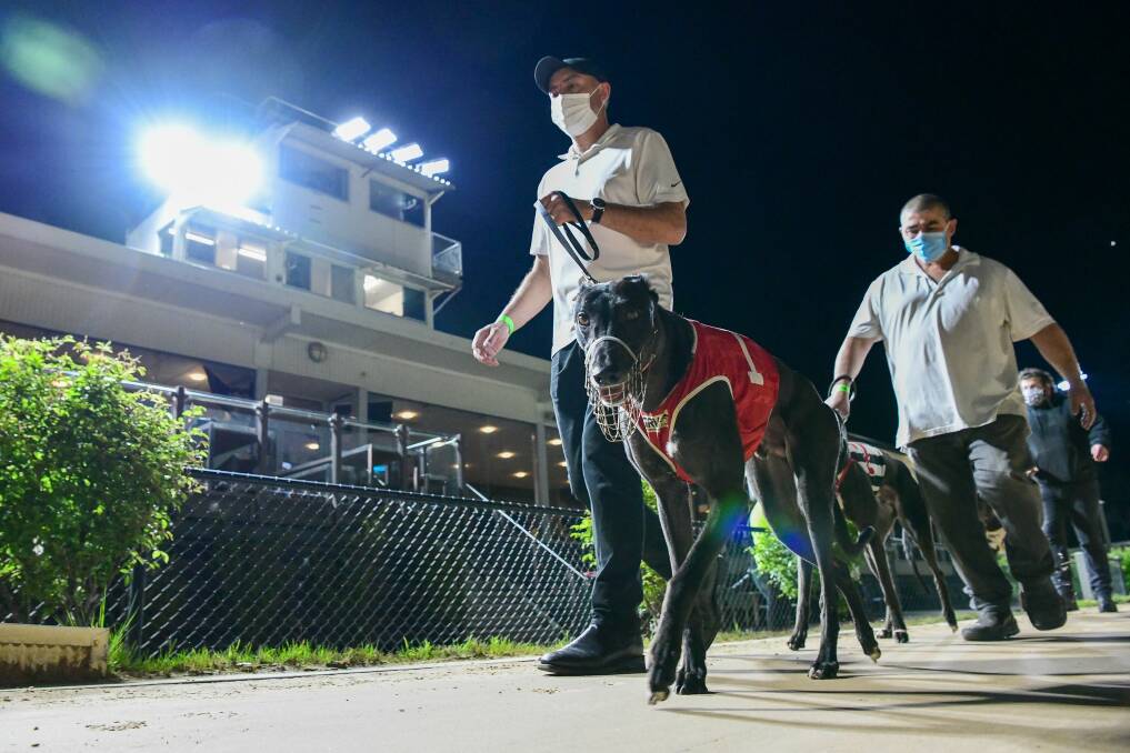 Charlton Hindle to lead Bendigo Greyhound Racing Association