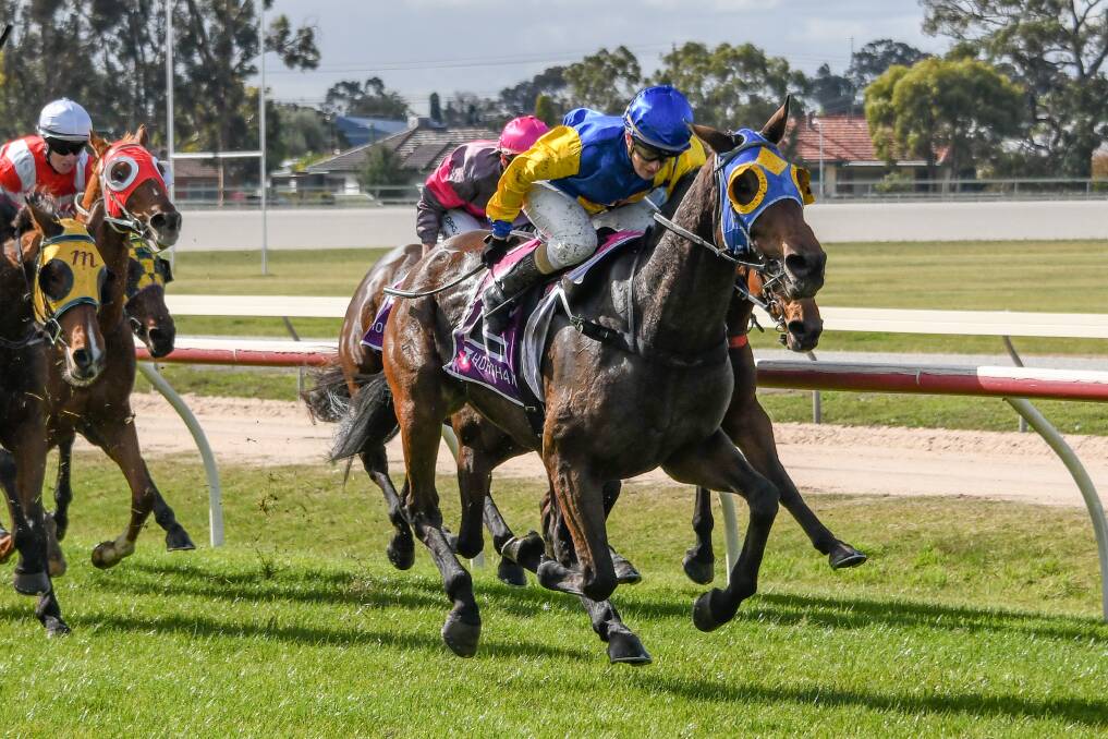 Cooter Cha Cha, with Christine Puls in the saddle, charges to victory at Horsham last Saturday. Picture: RACING PHOTOS