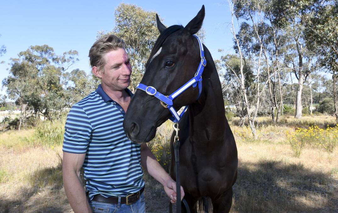 FIRST CHANCE: Trainer Nick Smart will have his first Bendigo Cup runner with Single Handed just a few months after moving to the region from Ballarat. The gelding is a winner of four of his 11 career starts, most recently at Morphettville in September. Picture: NONI HYETT